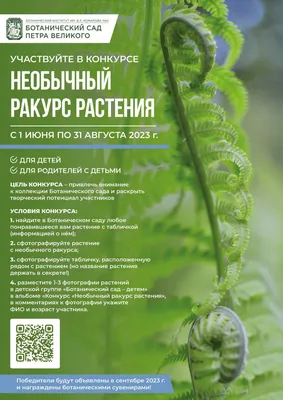 База «тунеядцев» в Беларуси: как формируется, обновляется и кто в нее  попадает | Новости республики | Ошмянский райисполком