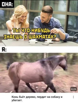 😹 | 1001 МЕМ-КОНЬ •(приколы про лошадей)• | ВКонтакте