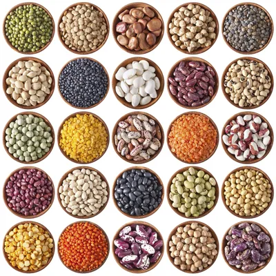 Beans 101 - Super Healthy Kids