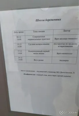 В новогодние праздники больницы Екатеринбурга будут работать по  индивидуальному графику | Уральский меридиан