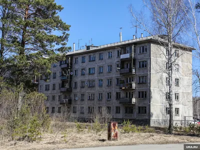 В Екатеринбурге территория 19-го военного городка превратилась в большую  мусорную свалку » Вечерние ведомости