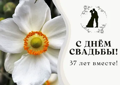 С днем свадьбы 37 лет поздравления (46 шт)