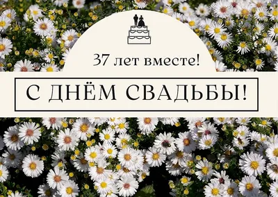 Открытки и картинки с Муслиновой Свадьбой на 37 лет