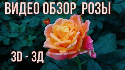 Фотообои \"3D Цветы в туннеле\" - Любой размер! Читаем описание!  (ID#858429782), цена: 420 ₴, купить на Prom.ua