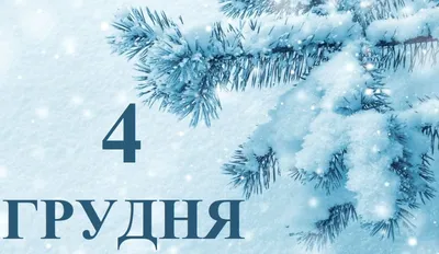 Стихотворение «4 декабря - Введение во храм Пресвятой Богородицы», поэт  Дёмина Галина