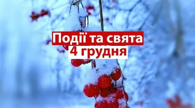 А вы знали, что 4 декабря в России отмечают День заказа подарков Деду  Морозу? Если вы еще не написали письмо волшебному.. | ВКонтакте