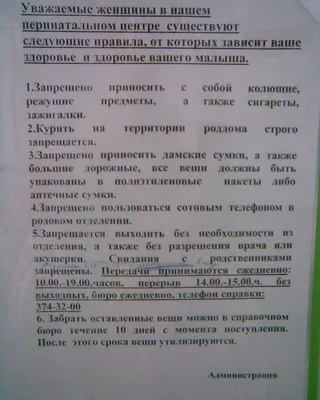 Виртуальная экскурсия Е1.RU по роддому 40-й больницы. 6 августа 2019 года -  6 августа 2019 - e1.ru