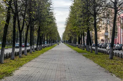 Petrov Avenue (Петров Авеню) - Переславль-Залесский, ул. Подгорная, д. 43:  цены 2024, фото и отзывы