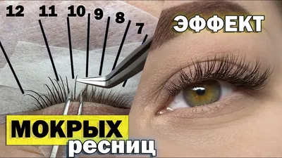 Фотография ресниц с различными размерами