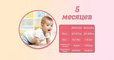 Рост и развитие ребенка в 5 месяцев