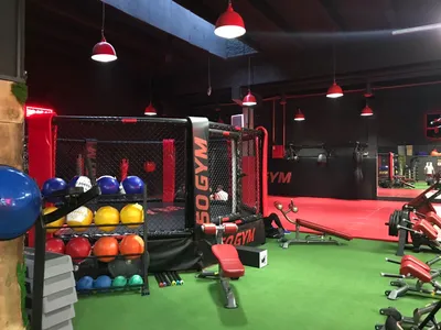 31.10.19 - вспомним как мы отмечали... - 50 GYM Краснодар | Facebook