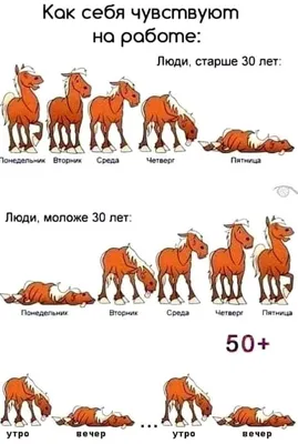 Прикольный сценарий юбилея 50 лет мужчине. Новое!