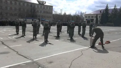 В Туле отметили День ВДВ: фоторепортаж | ИА “Тульская Пресса”