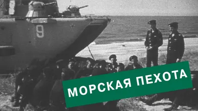 День морской пехоты. 310 лет российским «морским солдатам»