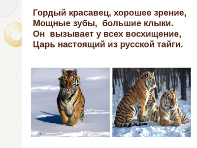 Покорение одного из чудес Хабаровского края едва не окончилось трагедией —  РБК