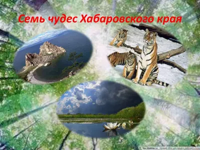 Создадим природный парк на хребте Мяо-Чан | Русское географическое общество