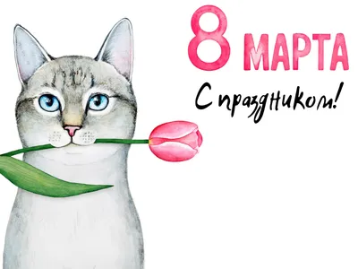 Женский день: приколы и мемы о 8 марта - Korrespondent.net