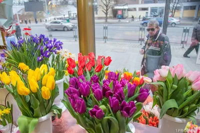 На Украине 8 марта лишится статуса выходного и станет Днем борьбы за права  женщин - ТАСС