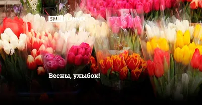 Весна на носу - ТРЦ Жар-Птица