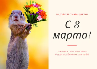 Короткие поздравления с 8 марта: нежные стихи - tochka.net