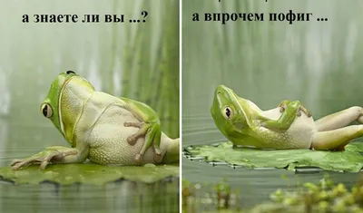 Мне Пофиг - Мне Пофиг added a new photo.