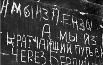 Иван Белозерцев предложил производителям одежды использовать слоган «А мы  из Пензы» | РИА Пензенской области