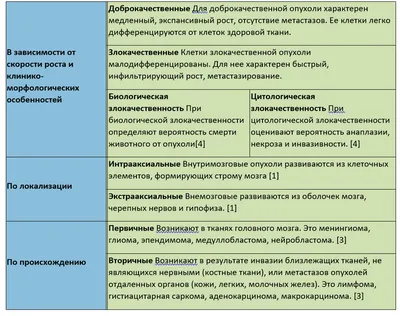 Пожилой пациент: особый подход к дерматологическим проблемам