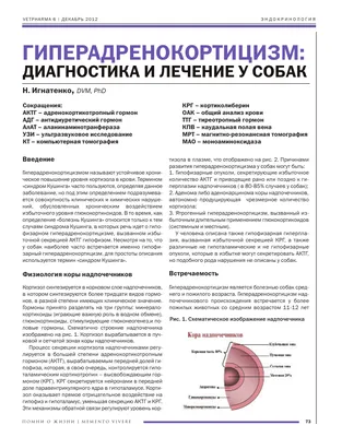 Нарушения метаболизма кальция: гиперкальциемия / Metabolic disorders of  calcium: hypercalcaemia