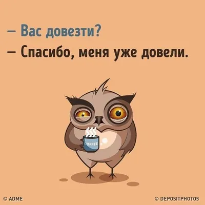 15 человек, которые своим чувством юмора уложили на лопатки всех вокруг /  AdMe