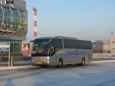 Каршеринг в аэропорту Толмачево (Новосибирск)