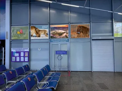 В аэропорту Оренбурга ожидают свои рейсы около 300 человек : Урал56.Ру.  Новости Орска, Оренбурга и Оренбургской области.