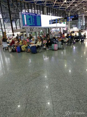 Бизнес джет в ВИП терминале Сочи - заказать перелет частным самолетом с  вылетом из бизнес аэропорта Сочи