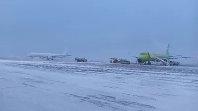 Журналистам показали, как работает таможня аэропорта Улан-Удэ. Фоторепортаж  - новости Бурятии и Улан-Удэ