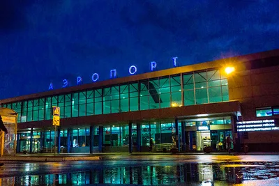 Рентген и собаки: Как работает таможня в аэропорту Улан-Удэ