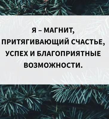 Аффирмации и их влияние на нашу жизнь. | Личный блог: Лиса без хвоста | Дзен