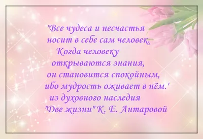 Набор шоколада \"Аффирмации на каждый день\" - купить с доставкой по выгодным  ценам в интернет-магазине OZON (888349725)