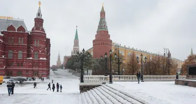 В Москве открылись елочные базары - Московская правда