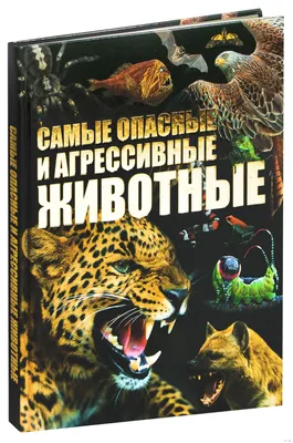 Агрессивные женщины: с чего начинается зло: читать на Golos.ua