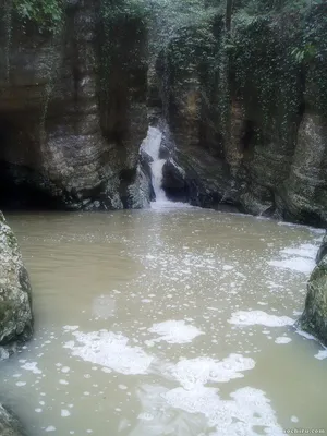 Мини-поход на Агурский водопад, Орлиные скалы или дачу Квитко в Сочи - цена  7500 ₽