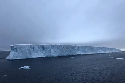 Крупнейший в мире айсберг А23а вынесло на чистую воду. Фоторепортаж — РБК