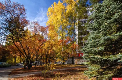 Фото: Технопарк Новосибирского Академгородка, технопарк, Инженерная ул.,  20, Советский район, микрорайон Академгородок, Новосибирск — Яндекс Карты