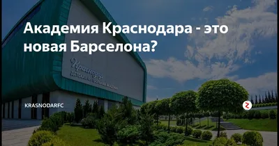 Министр спорта России назвал академию \"Краснодара\" одной из лучших в мире -  РИА Новости Спорт, 14.08.2019