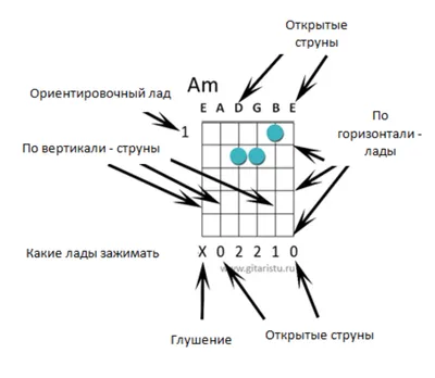 Каталог аккордов для гитары. Самоучитель - купить с доставкой по выгодным  ценам в интернет-магазине OZON (1295650673)