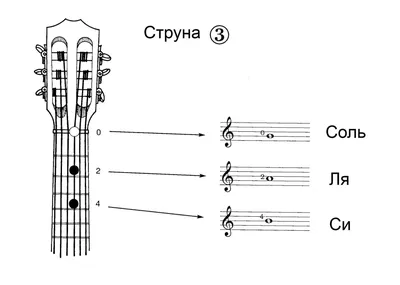 Каталог аккордов для гитары. Самоучитель - купить с доставкой по выгодным  ценам в интернет-магазине OZON (1295650673)