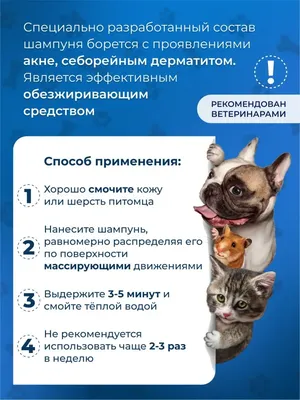 Veterinary Care Антибактериальный шампунь Пероксикея при акне и себорейном  дерматите для собак и кошек, 240 мл.