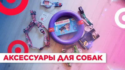 HyperX представила новые геймерские аксессуары для... собак | Пикабу