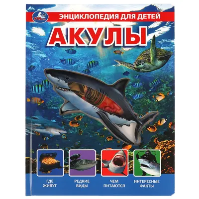 Игрушка надувная Bestway 41032 Большая белая акула купить в Иркутске по  низким ценам