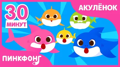 Интерактивная мягкая игрушка BABY SHARK – МАЛЫШ АКУЛЕНОК, PFSS-08001-01 -  купить в Украине, Киеве - цена на Интерактивная мягкая игрушка BABY SHARK –  МАЛЫШ АКУЛЕНОК, PFSS-08001-01 в магазине Короб