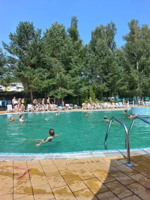 Aqua Club Dolphin, Стамбул: лучшие советы перед посещением - Tripadvisor