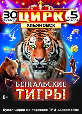 В Ульяновске возле Аквамолла вода продолжает затапливать проезжую часть |  Главные новости Ульяновска